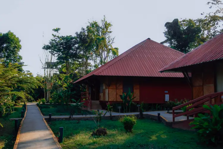 yasuni ecolodge cabana