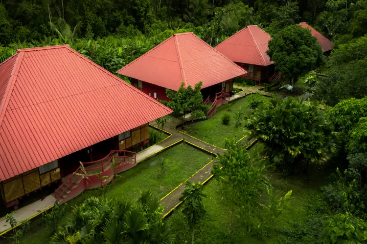 Yasuní Lodge