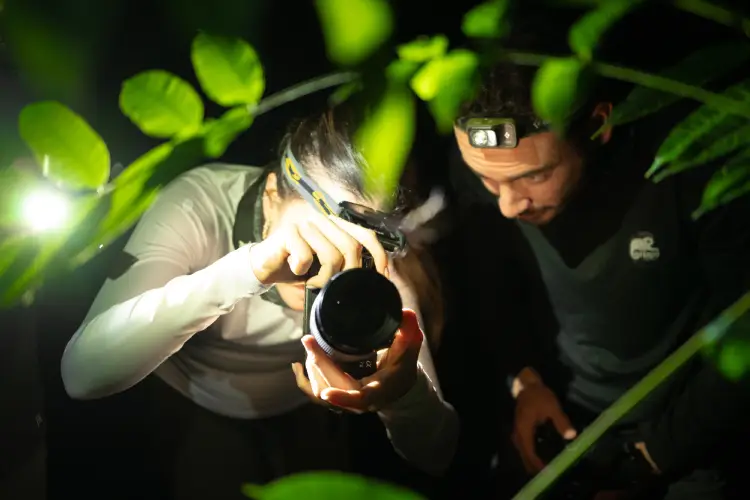 yasuni ecolodge exploring at night