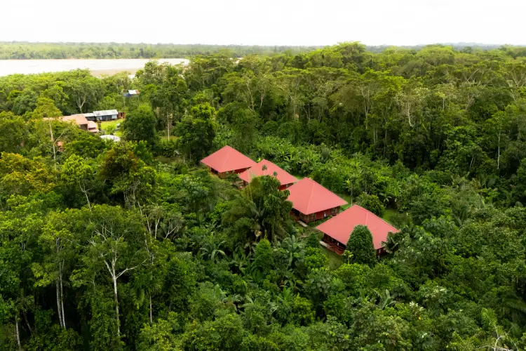 yasuni ecolodge huts