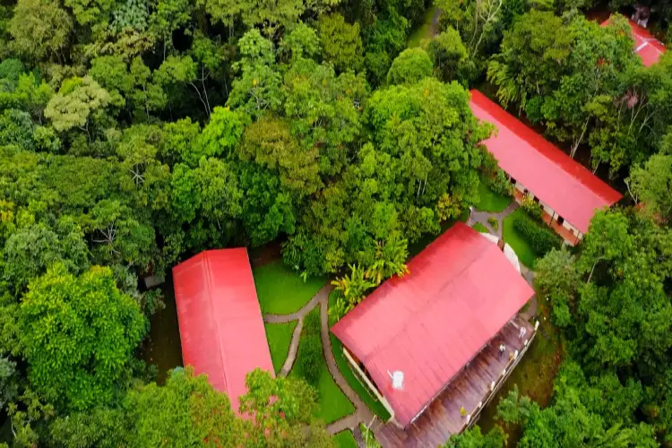 wildsumaco drone-lodge